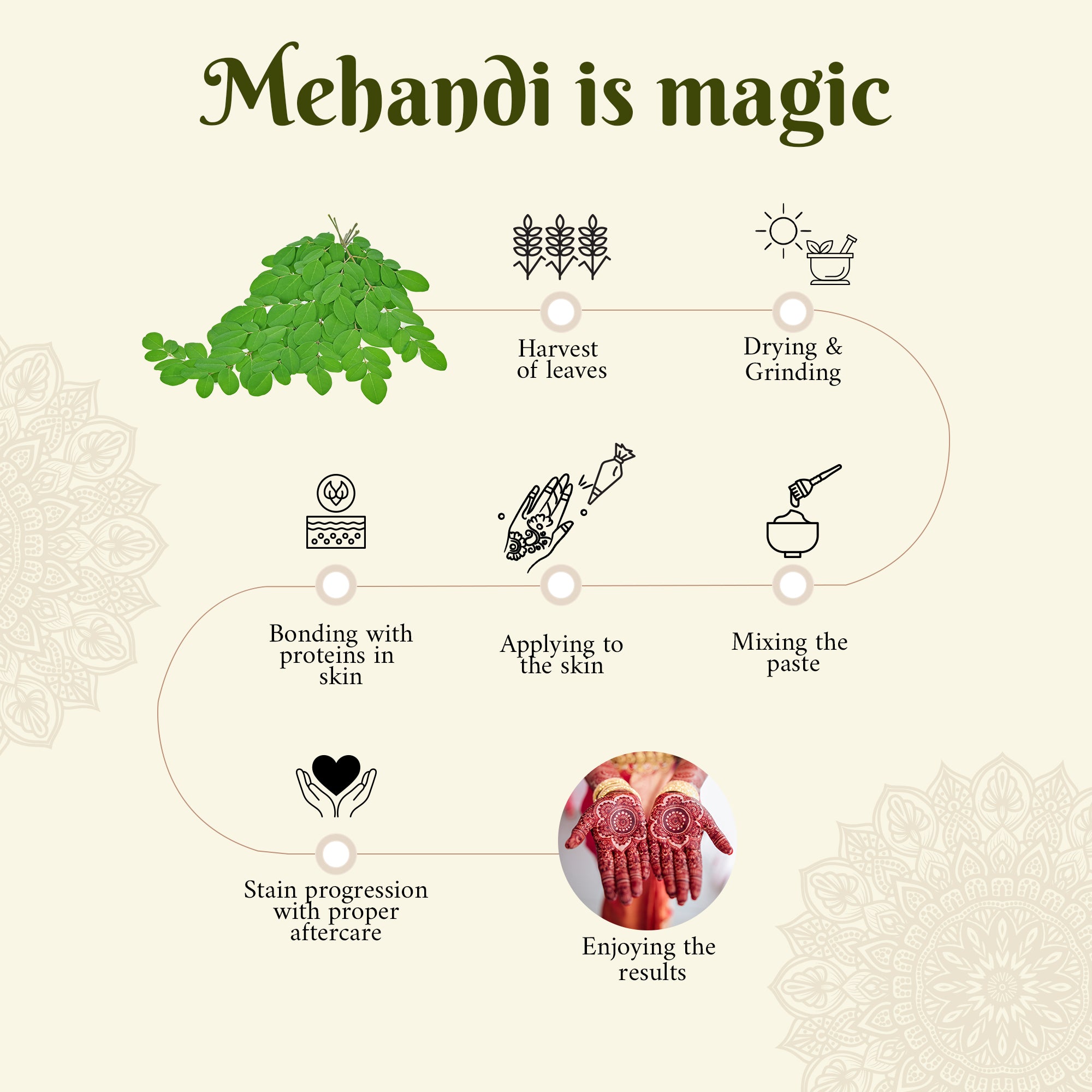 Signature Mehandi Pack