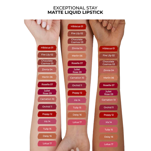 Exceptional Stay Matte Liquid Lipstick  Shade: Daisy 16