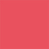 Glam 02 -  Tinted Lip Gloss