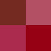 Limited Edition Bestseller Silk Matte Liquid Lipstick | Pack of 4